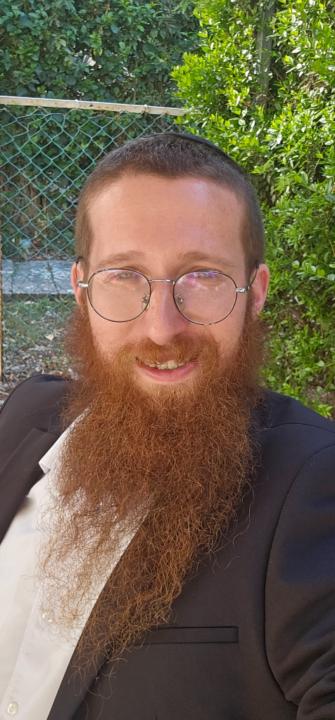 יעקב מאירוביץ