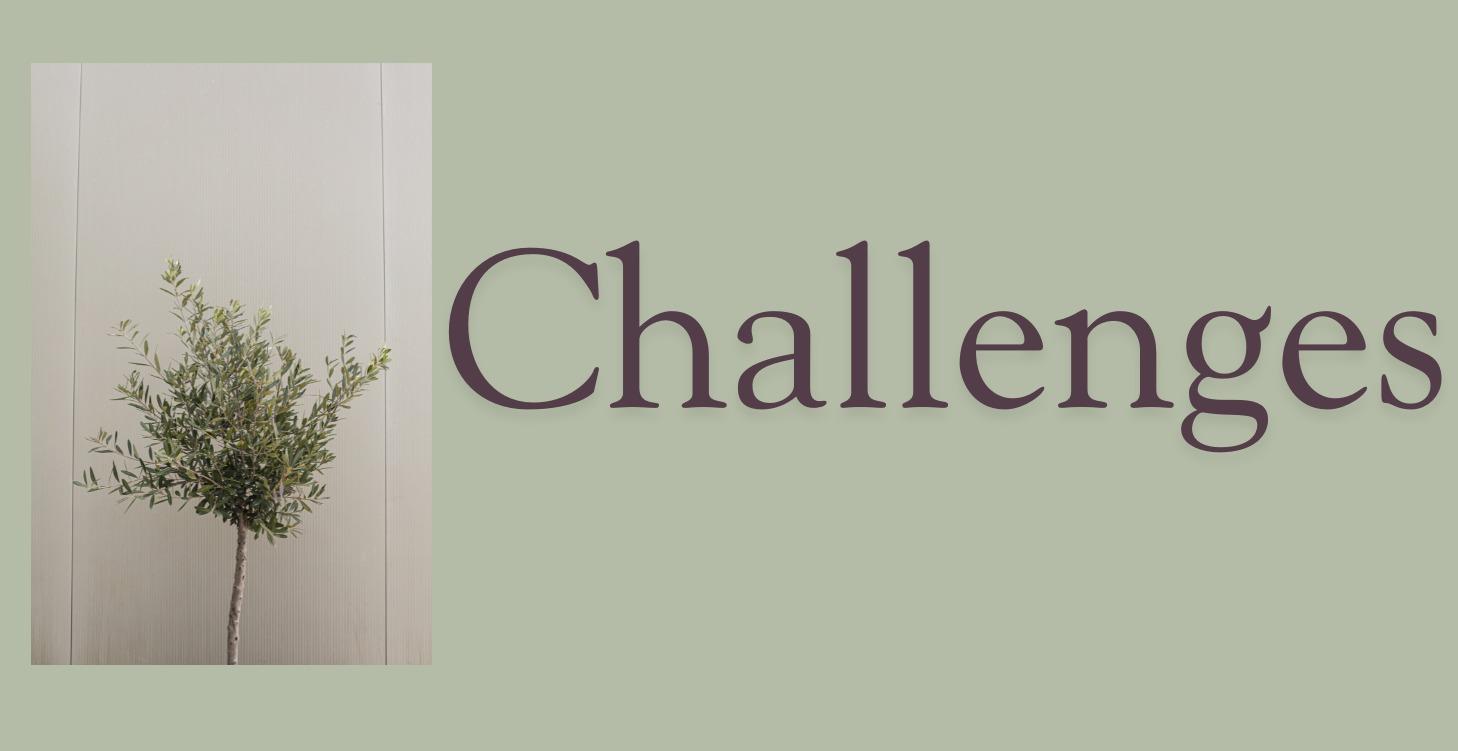 Challenges