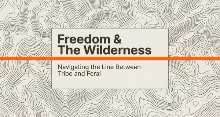 Freedom School