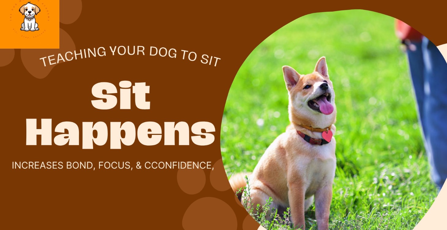 🐾Sit Happens🐾