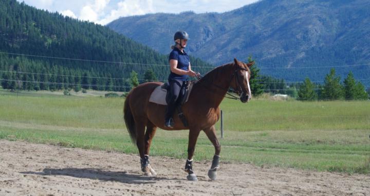 For The Horse Community