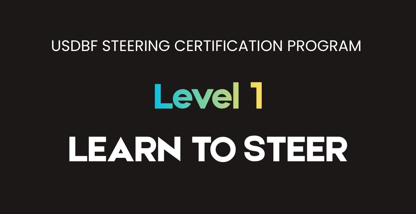 Steering Level 1