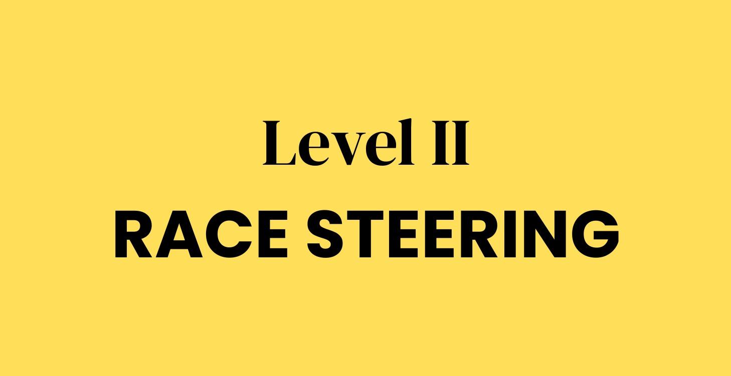 Level II - Race Steering