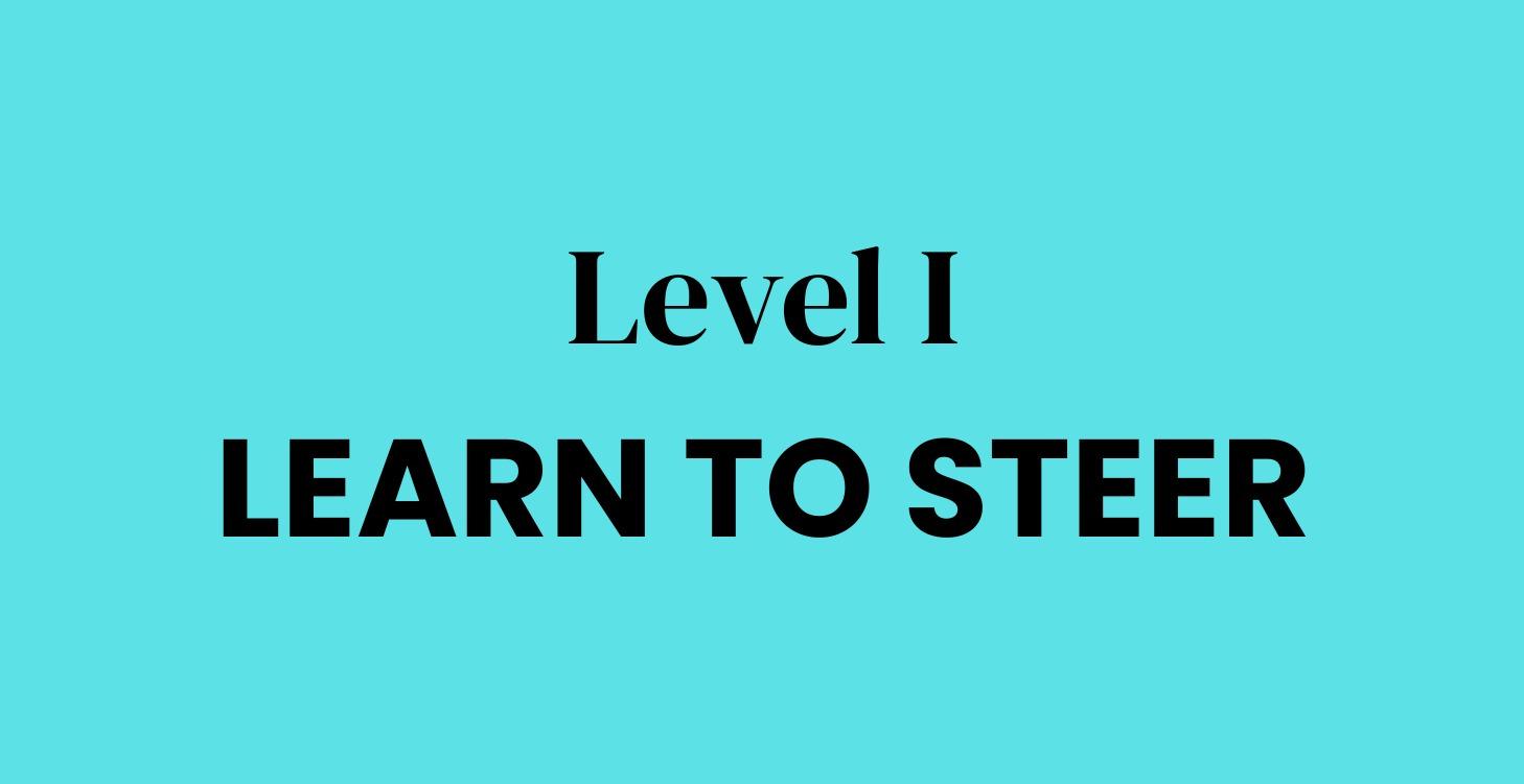 Level I - Learn to Steer