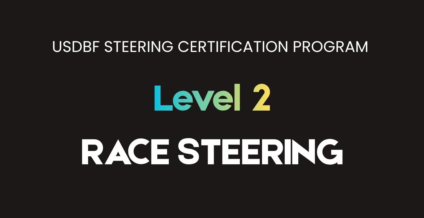Steering Level 2