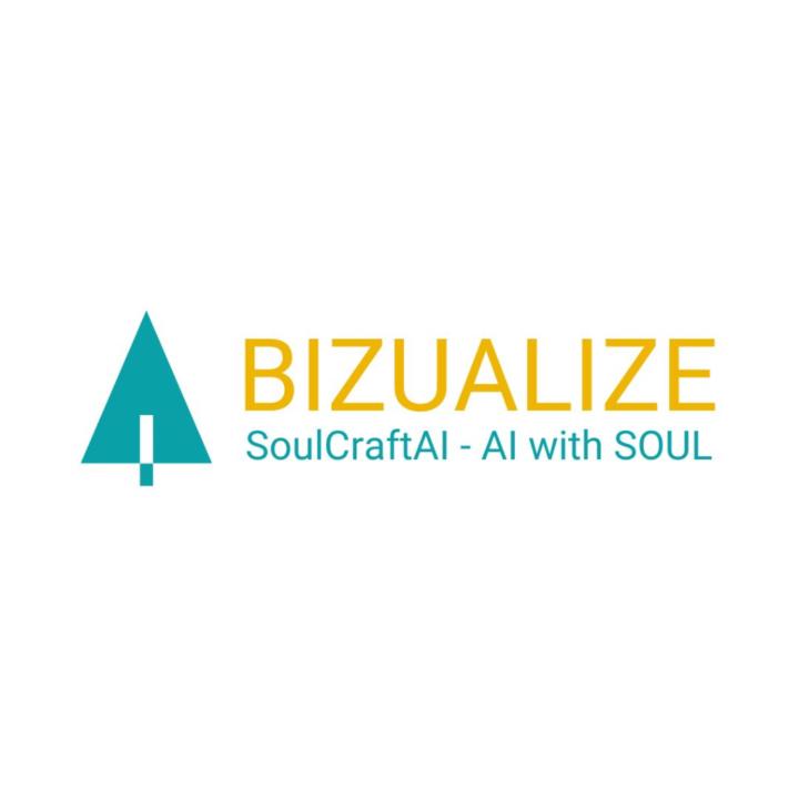Bizualize Admin
