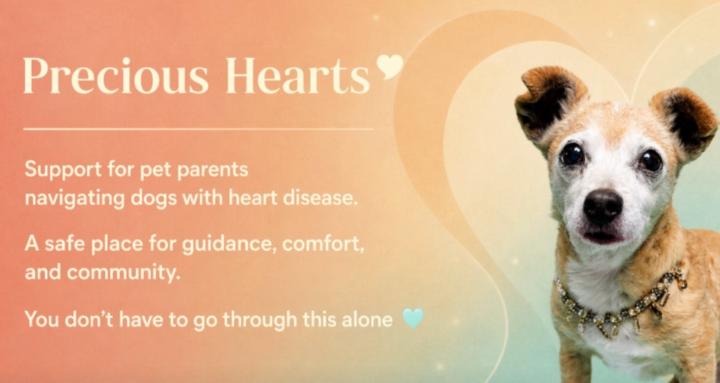 Precious Hearts