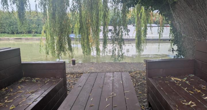 Whispers from the Hedge