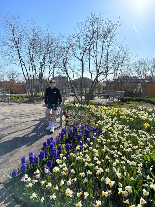 Spring is here. I don't want to miss it. 