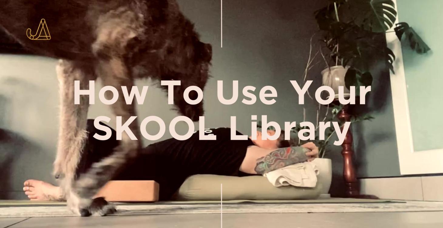 WELCOME - HOW TO USE YOUR SKOOL LIBRARY