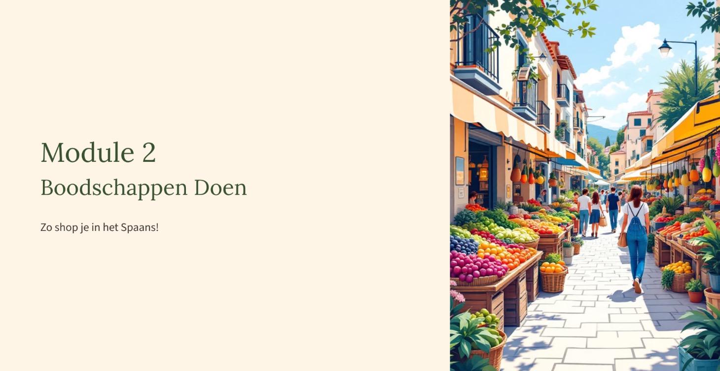 Module 2: Zo shop je in het Spaans!