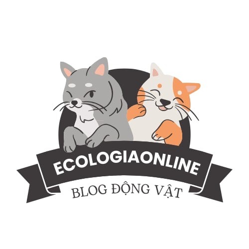 EcologiaOnline Com