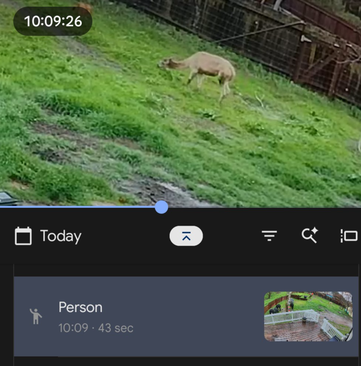 Anyone have cameras on their animals?