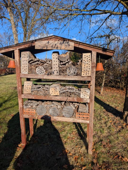 Carpenter Bee Hive from Czech Republic!