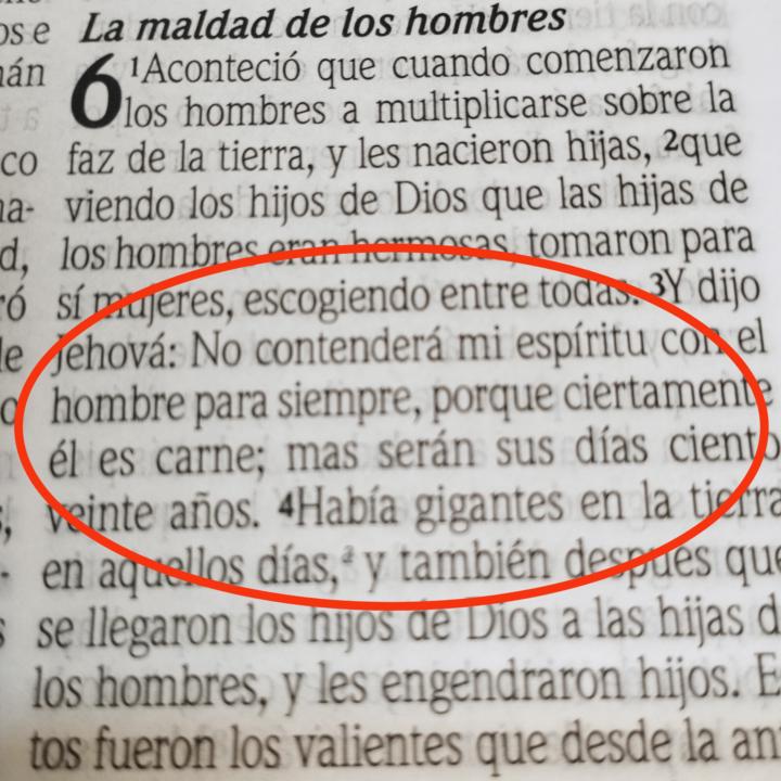 Mi Lección de Hoy: Génesis 6 📖🌟