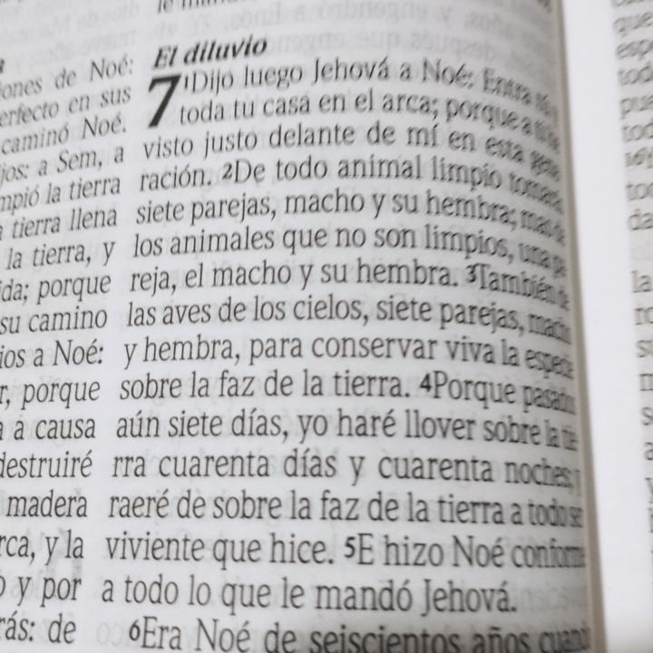 **"Pequeños Actos de Fe, Grandes Planes de Dios"**  
