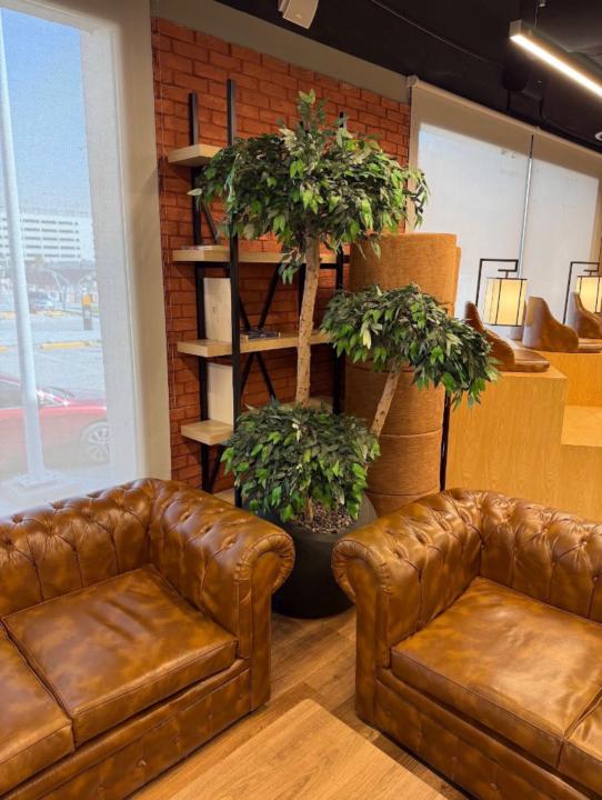 شاهره ال سكران