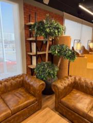 شاهره ال سكران