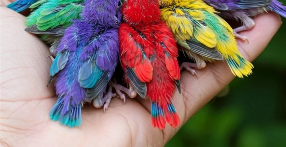 Welcome To a New Dimension