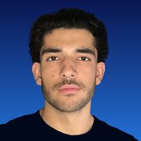Dimitri Provis