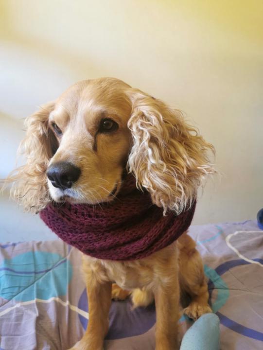 Luis gabriel Soria valencia