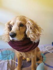 Luis gabriel Soria valencia