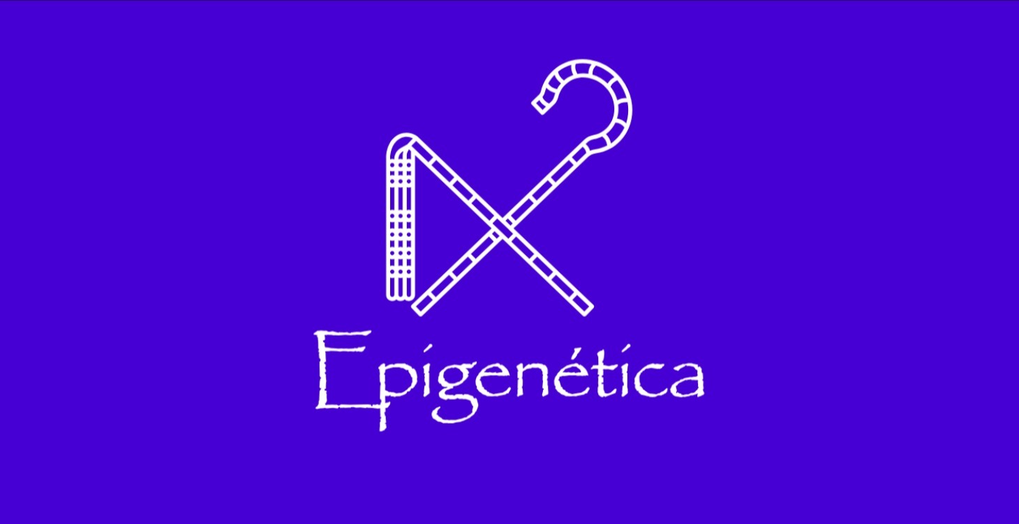 Epigenética