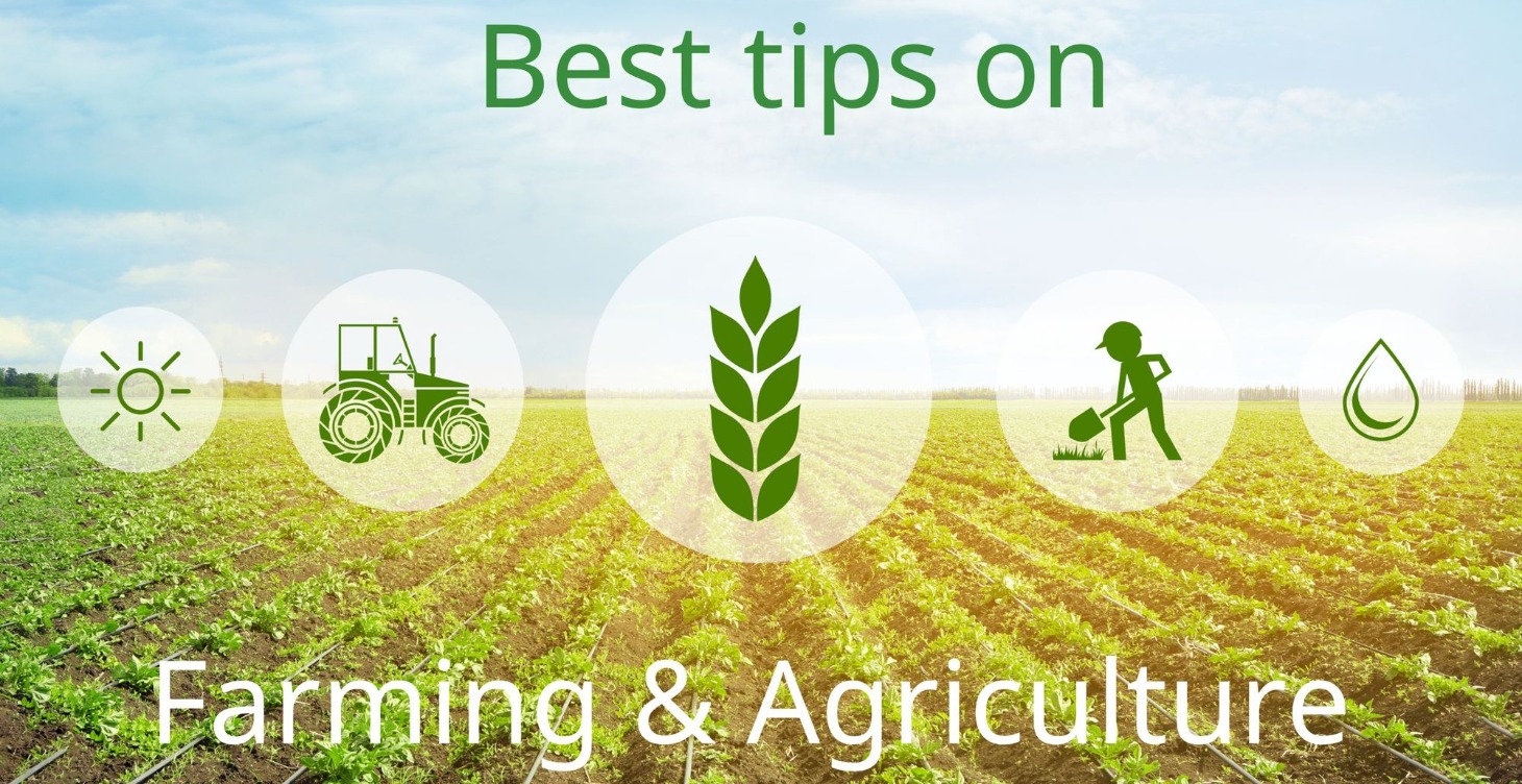 Starting Your Agribusiness