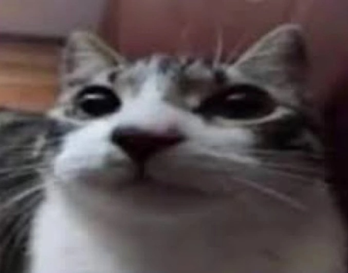Potato Goober