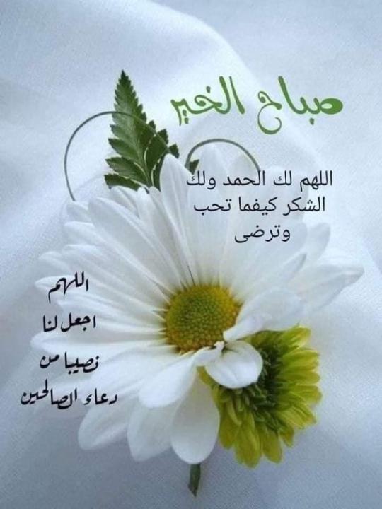 Fadwa Teimi