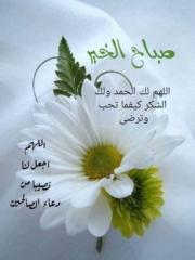 Fadwa Teimi