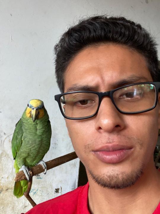 Marlon brahan Quiroz gonzales