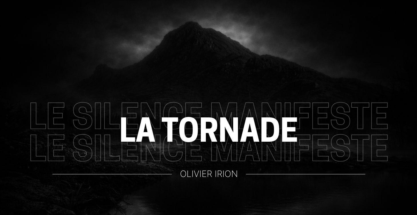 🟣 2️⃣ Mini-module – Quand c’est la tornade (1jr)