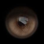 Alexandre Bourriquen