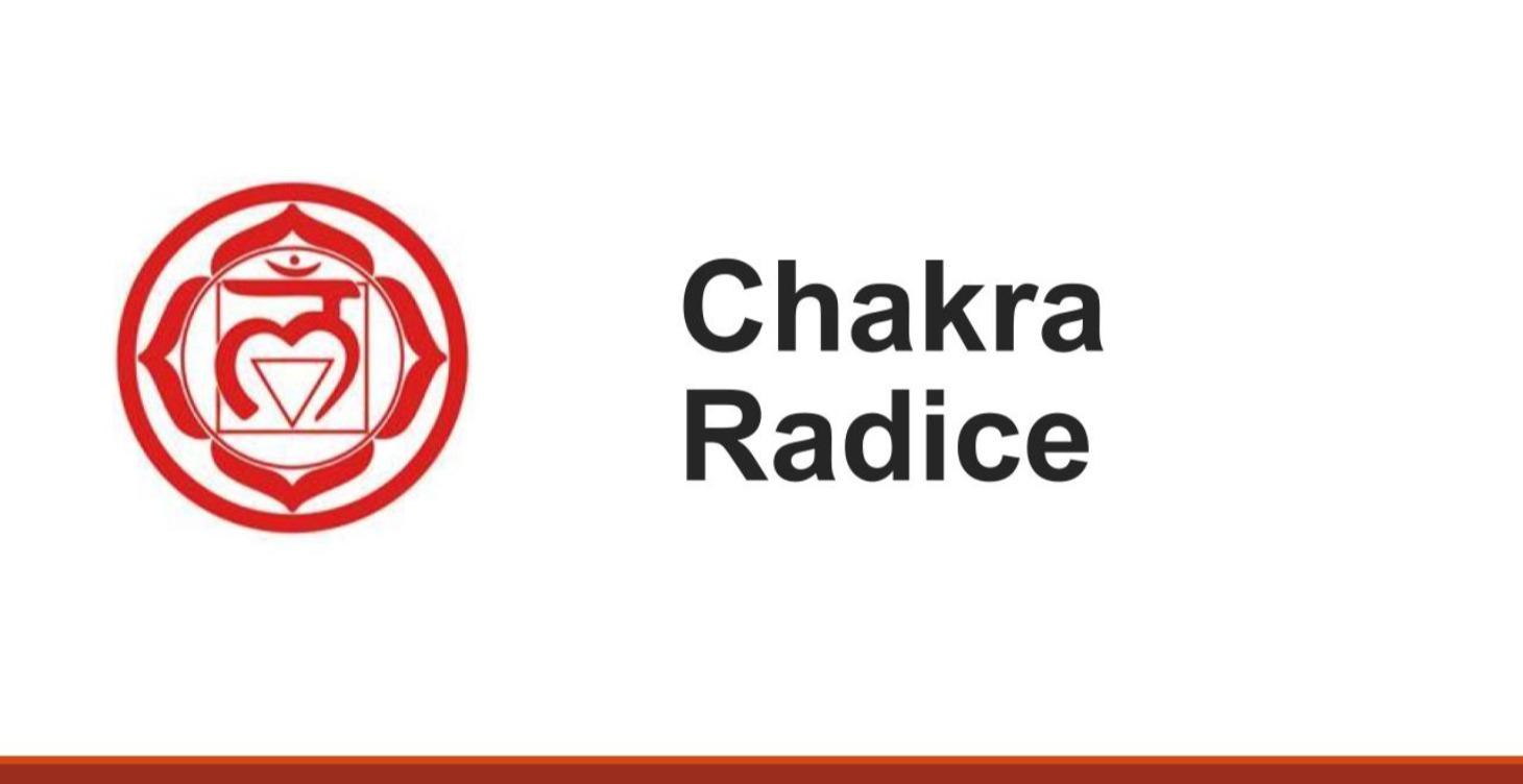 🇮🇹 #italiano Chakra radice