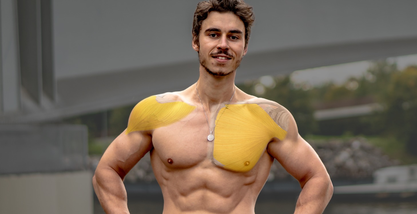 Calisthenics Anatomy & Prinzipien