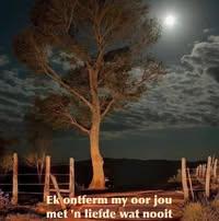 Chrisna Van der Merwe