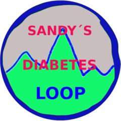 Sandys Diabetes Loop