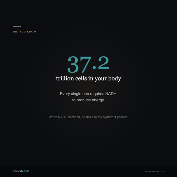 ElevateMD Physicians