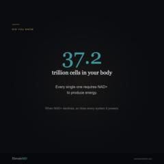 ElevateMD Physicians