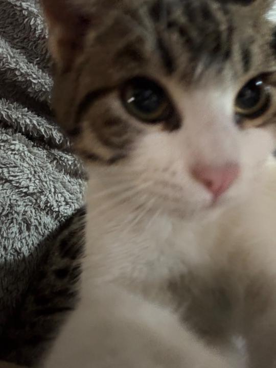 Everardo Sanchez Vega