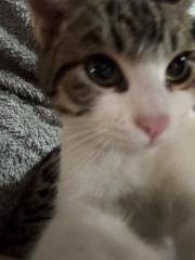 Everardo Sanchez Vega