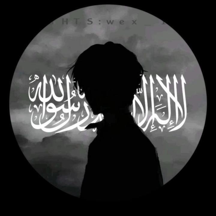Seif Silini