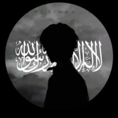Seif Silini