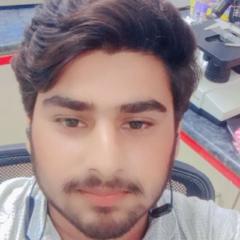 Hasnain Khalid