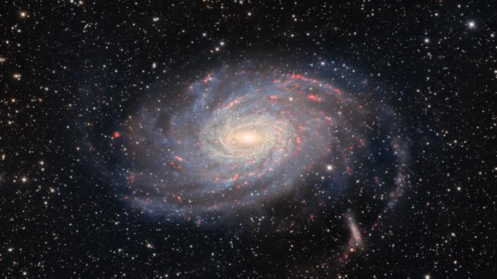 ECOS Analysis: The Milky Way Galaxy