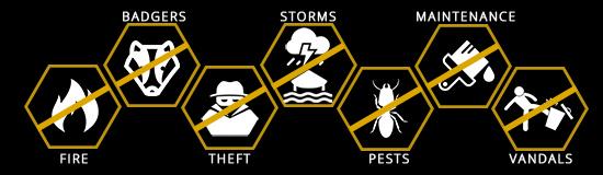 Oliver Mutambaneshiri