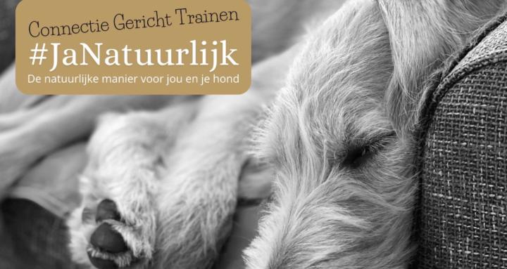Connectie Gericht Trainen
