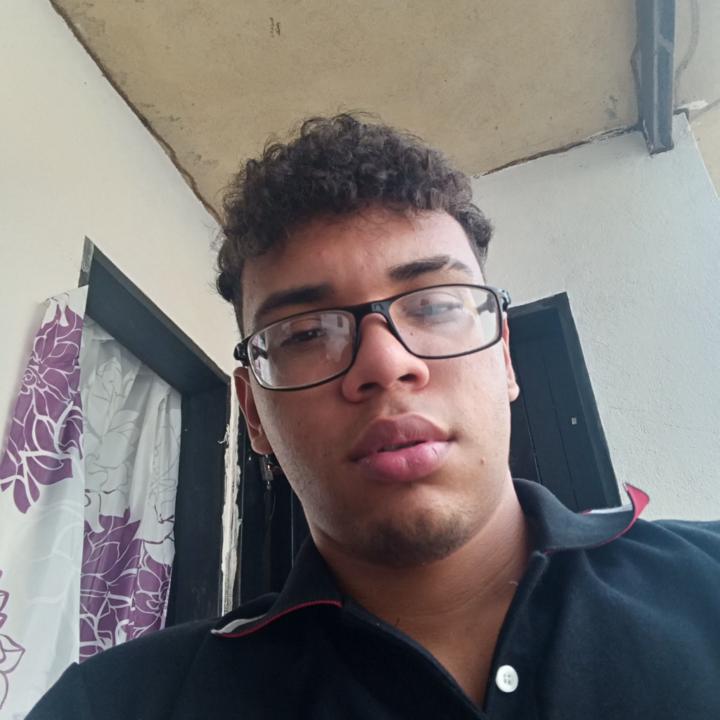 Luis Palmares