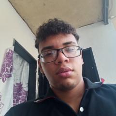 Luis Palmares